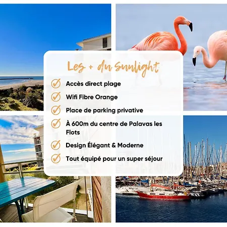 Le Sunlight - T2 Bord De Mer, Parking *